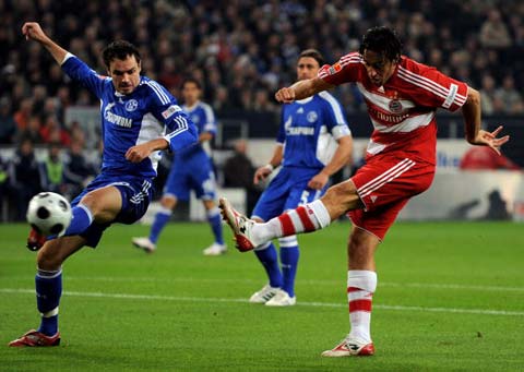 的性价比 的性价比