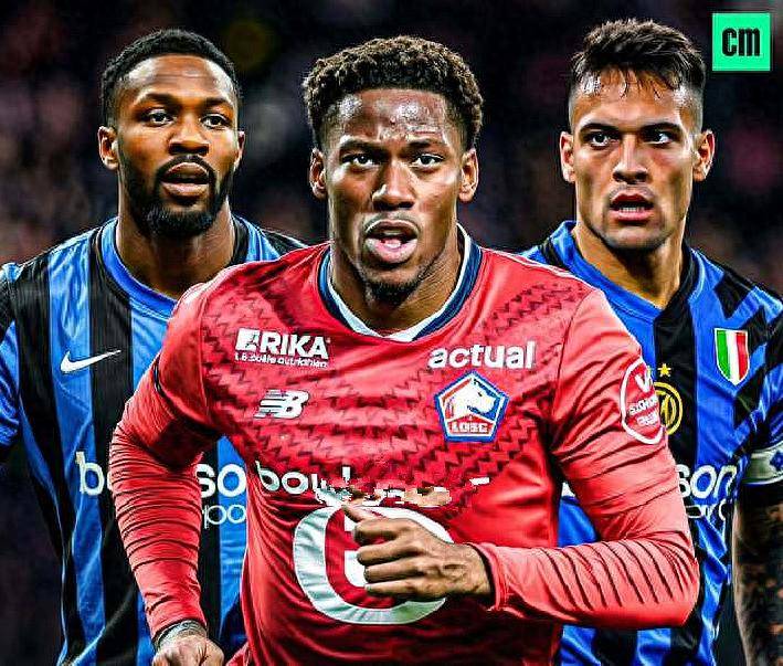 德里的运动 德里的运动