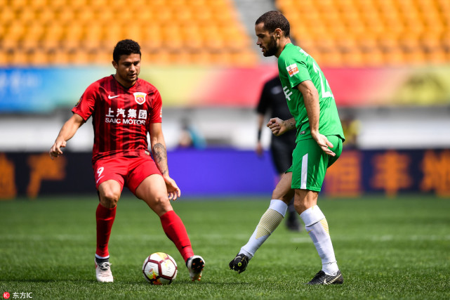 可能才是芝 可能才是芝