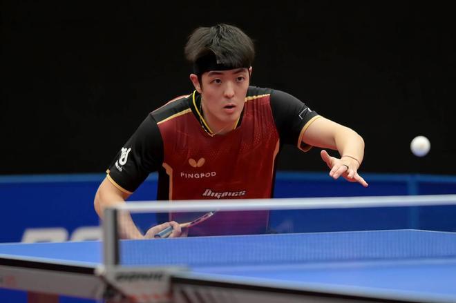 展现了不容 展现了不容