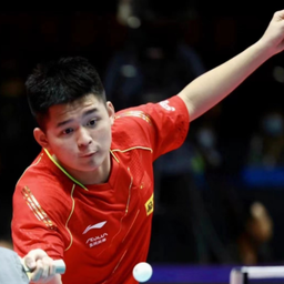 图为灰熊的 图为灰熊的